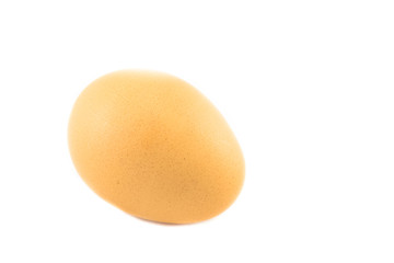 egg on a white background