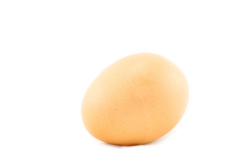 egg on a white background