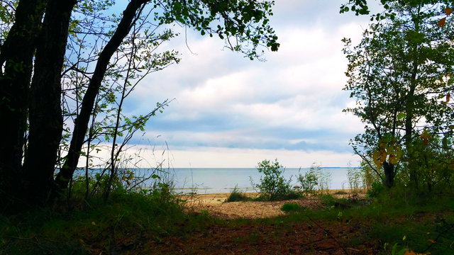 Timelapse landscape view from forest.
