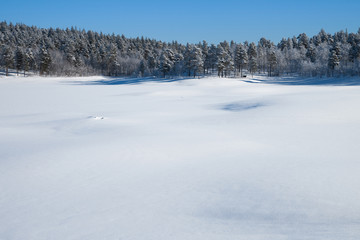 Fototapeta na wymiar Wintertag in Schweden
