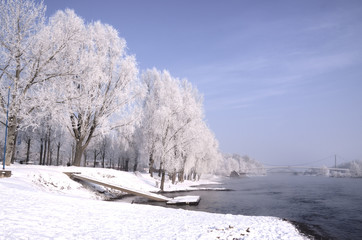 Fluss mit vereisten Bäumen im Winter