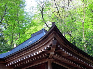 新緑の村杉薬師堂