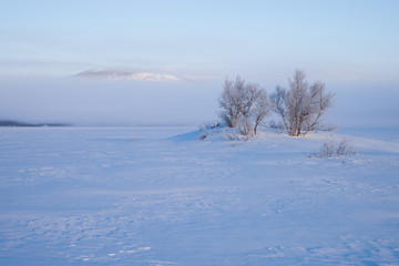 Fototapeta na wymiar Morgennebel im Winter über einem zugefrorenen See