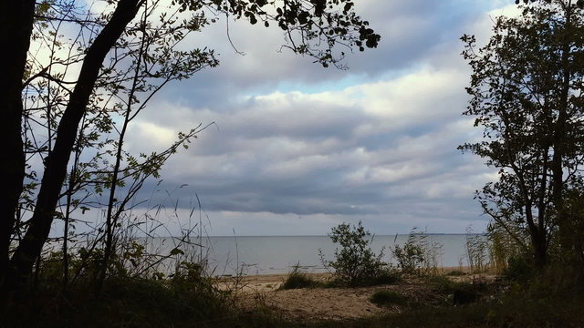 Timelapse landscape view from forest.