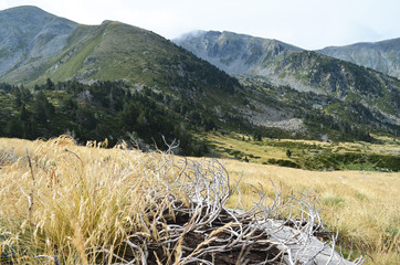 Montée du Canigou