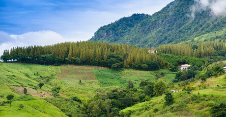 Landscape view house on hill from Wat Phra That Pha Son Kaew at