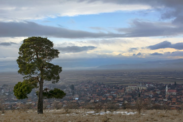 Obraz premium Autumn landscape in the mountains