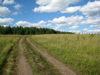 Fototapeta na wymiar road through a meadow in the forest