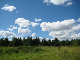 field, meadow and sky with clouds