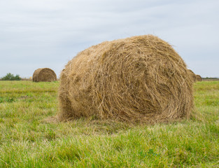 Haystacks on the field against the sky.