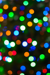 Fototapeta premium Colorful Christmas lights bokeh - A bright multicolor bokeh background created by a set of de-focused Christmas lights on a tree.