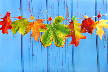 autumn leaves hanging on a rope against blue wooden background