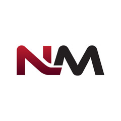 Modern Initial Logo NM