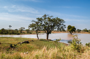 Paesaggio savana - Kruger park - Sudafrica