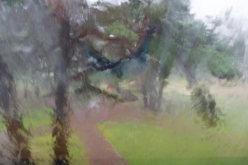 the wood behind a window