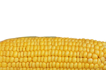 yellow corn grain isolated on white background