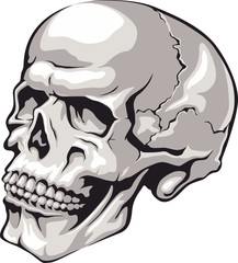 Vector of skull tattoo