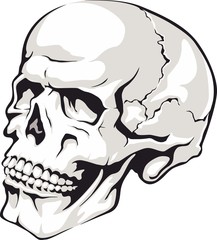 Vector of skull tattoo