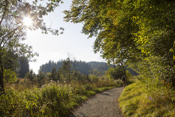 Wanderweg Kirchseemoor, goldener Herbsttag