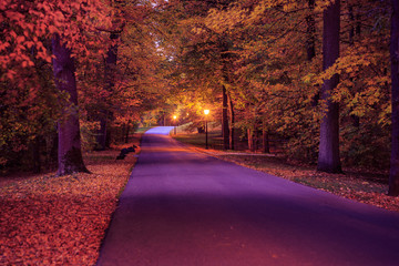 park at fall