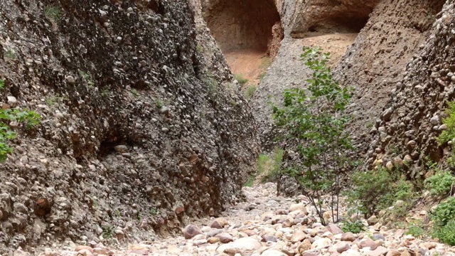 Maple Canyon Box Canyon Sanpete trees in river bed HD 2606