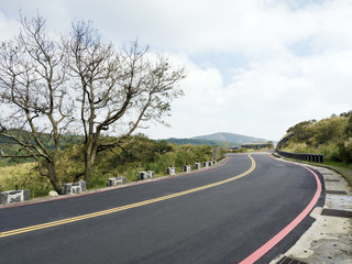 bald tree on winter raod