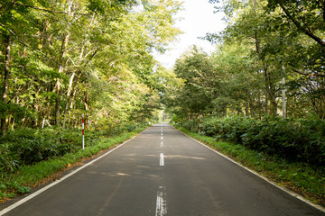 Fototapeta na wymiar 森の中の道路