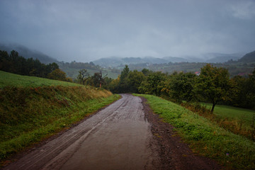 Fototapeta na wymiar Road to Nowhere in Misty Fall Landscape