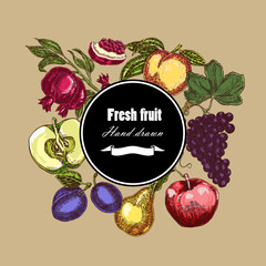 Hand drawn fruits collection. Botanical banner set. Vector