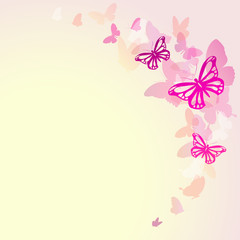 butterflies design