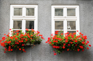 Fototapeta na wymiar traditionelle Fenster