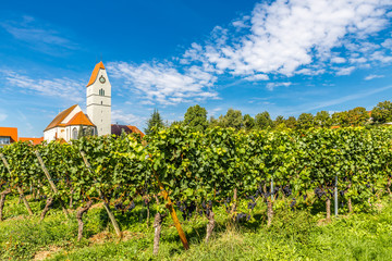 Church and Vineyard-Meersburg,Germany
