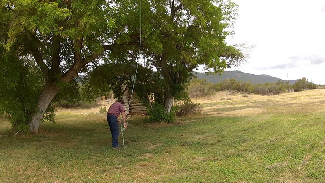 Man swings on children rope swing under rural tree HD 001
