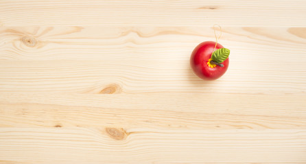 Christmas decoration on wooden background