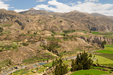 Fototapeta premium Colca canyon, Peru