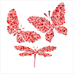 red butterfly and dragonfly isolated on white
