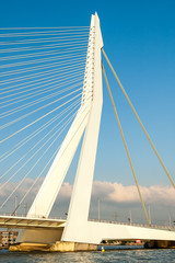 Detail of the asymmetrical pylon of the Erasmus Bridge 'The Swan' in the city of Rotterdam, Netherlands