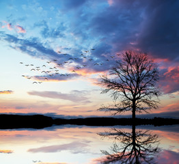 Obraz na płótnie Canvas el lago y el cielo 