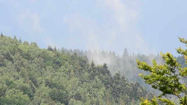 Steam in mountains
