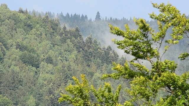Steam in mountains