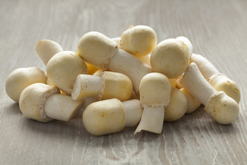 Fresh  horse mushrooms