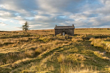 Evening Light Over Dartmoor