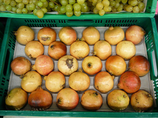 Pomegranate