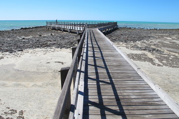 Fototapeta na wymiar Stromatolites, Shark Bay, Western Australia 