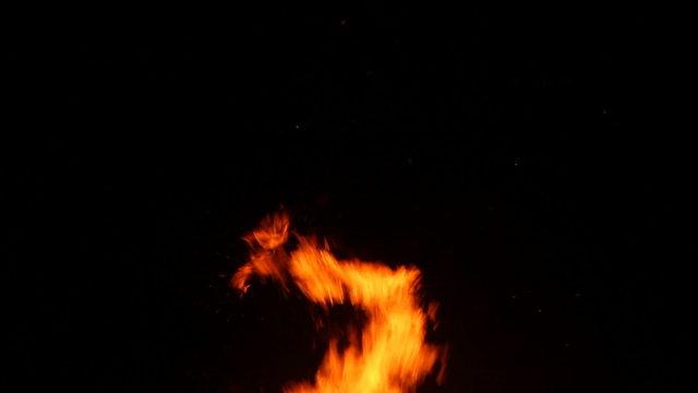 Wild yellow flames from a burning wood fire against a black background.