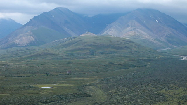 Denali National Park Alaska valley tundra pan P HD 7995