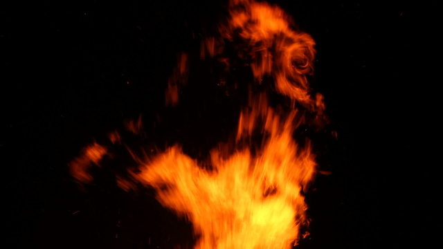 Wild yellow flames from a burning wood fire against a black background.