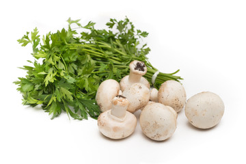 Fresh champignons and parsley 
