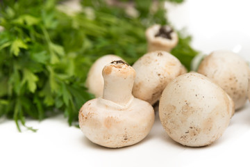 Fresh champignons and parsley 