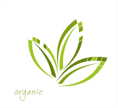 leaves, plant, icon , nature, Eco friendly business logo
